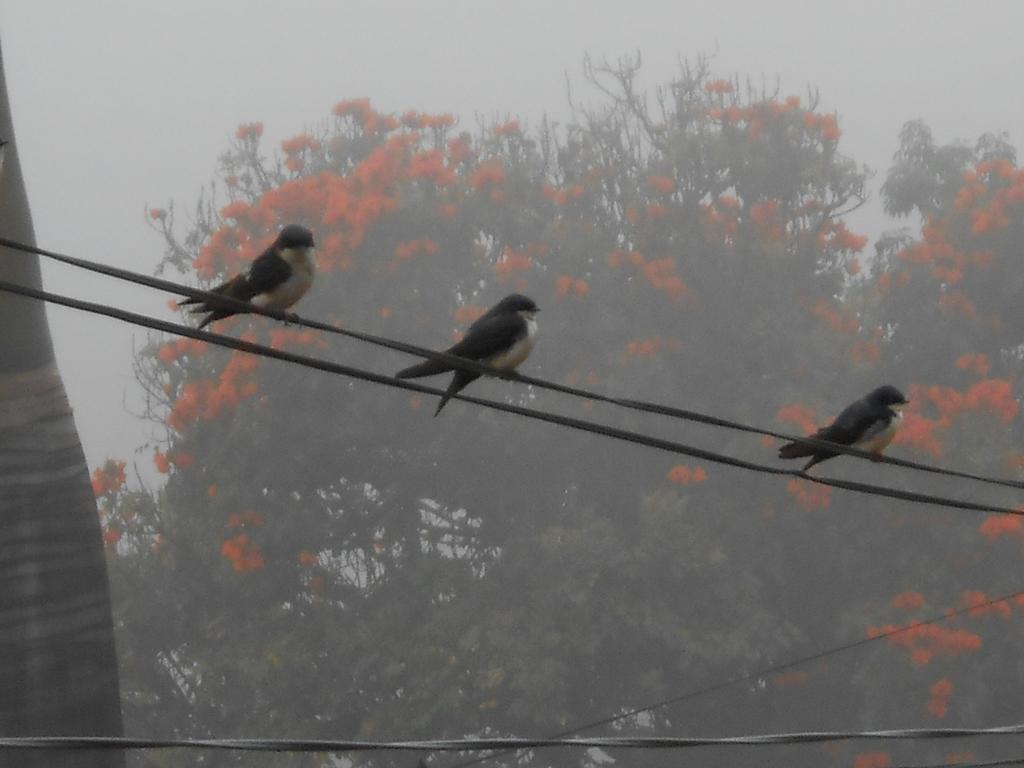 Pousada Da Matriz Piedade do Paraopeba Buitenkant foto